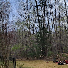 Tree-Removal-in-Seneca-SC-Expert-Service-by-4-Seasons-Lawn-Service 3